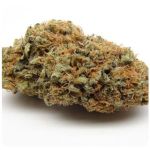 Шишки AK47 (Гидропоника, Бошка) VHQ в Дмитрове Шишки AK47 (Гидропоника, Бошка) VHQ в Дмитрове