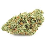 Шишки OG Kush (Гидропоника, бошки) VHQ в Дмитрове Шишки OG Kush (Гидропоника, бошки) VHQ в Дмитрове